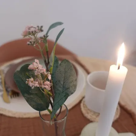 Il Sogno Nel Cassetto * 바리